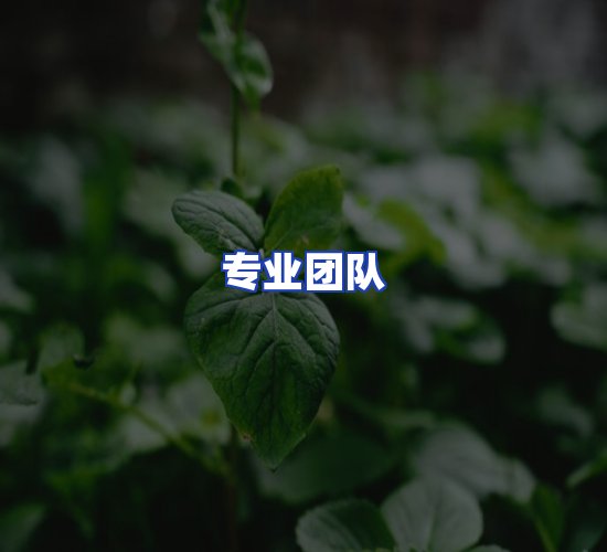 现代化仓储中心